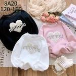 Premium Korean-Style Sweatshirt