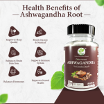 ODON NATURALS Ashwagandha Root Powder Capsules 120 Count Ayurvedic Daily Wellness Supplement for Men & Women