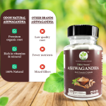 ODON NATURALS Ashwagandha Root Powder Capsules 120 Count Ayurvedic Daily Wellness Supplement for Men & Women