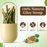 ODON NATURALS Giloy Stem Powder Capsules 120 Count  Ayurvedic Daily Health Booster for Men & Women