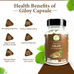 ODON NATURALS Turmeric Powder Capsules - 120 Count  Ayurvedic Herbal Daily Wellness Booster for Men & Women