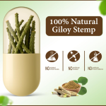 ODON NATURALS Turmeric Powder Capsules - 120 Count  Ayurvedic Herbal Daily Wellness Booster for Men & Women