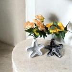 Vibhsa Star Fish Shape Vase, Ceramic Plant Pot, Diamond Shaped Planter, Designer Flower Pot for Office, Table & Home Decoration