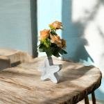 Vibhsa Star Fish Shape Vase, Ceramic Plant Pot, Diamond Shaped Planter, Designer Flower Pot for Office, Table & Home Decoration