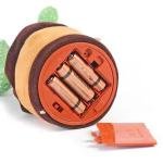 Electronic Dancing Cactus Toy with Lighting, Singing Cactus