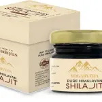 Yogarveda Pure Himalayan Shilajit Resin 20G 100% Ayurvedic Energy And Immunity Booster (20 G)”