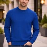 Men's Cotton Blend Regular T-shirts